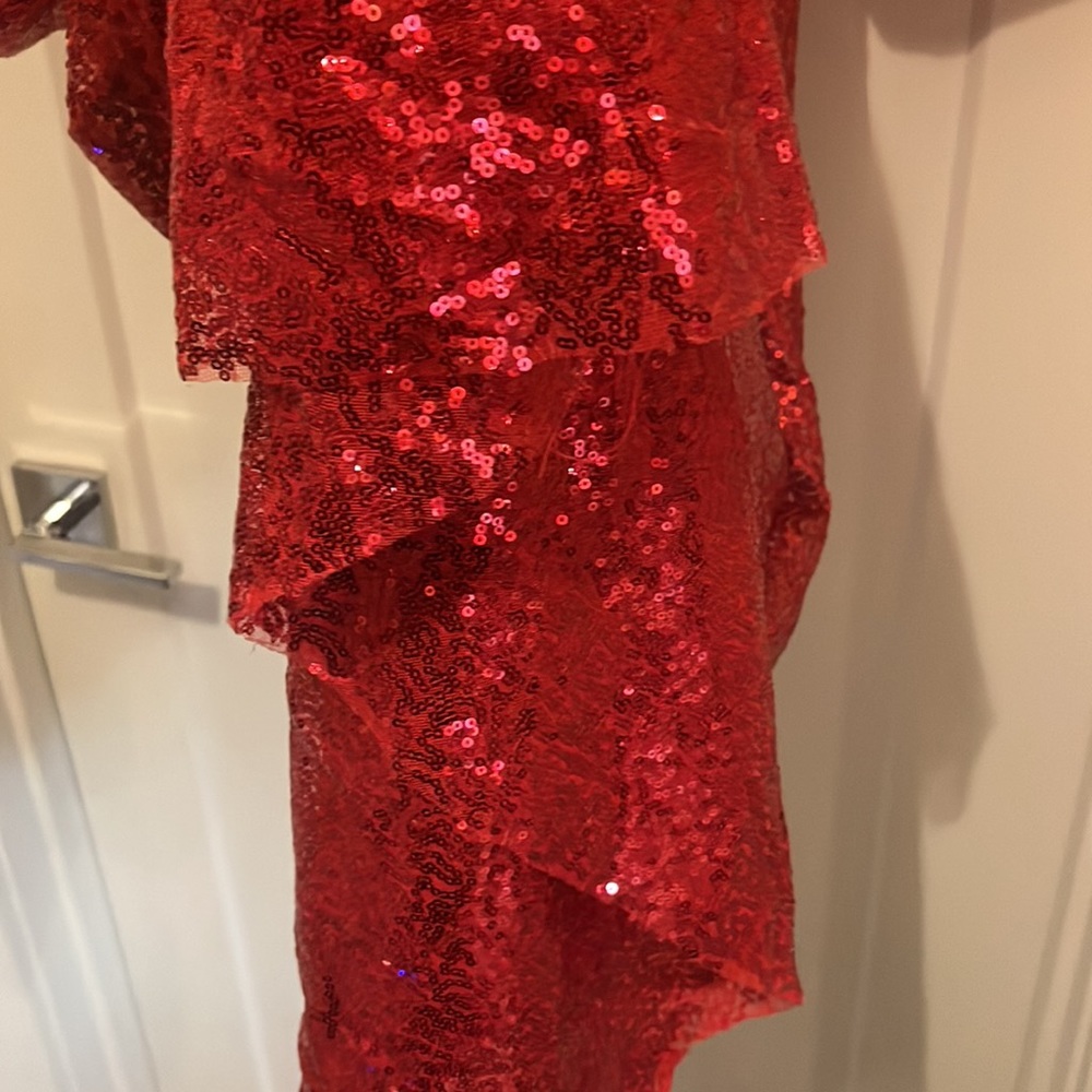 Red Sequins! - image 3